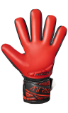 Reusch Attrakt Freegel Silver NC 5460244 7805 weiss schwarz rot back